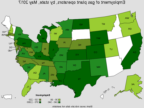 Employment of Gas Plant Operators